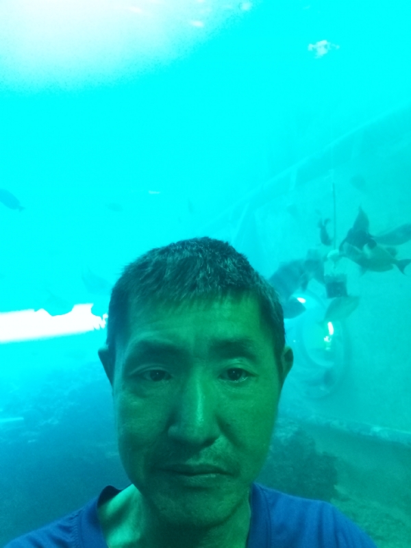陸戰隊的第一张照片--安庆相亲服务中心
