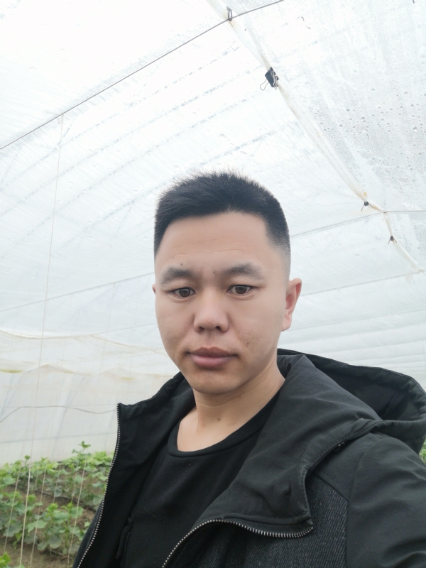 宇成的第二张照片--安庆相亲服务中心
