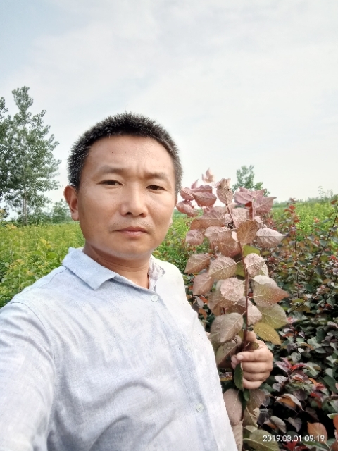 孩子爸的第二张照片--安庆相亲服务中心