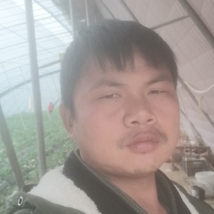 孤狼‘的第一张照片--安庆相亲服务中心