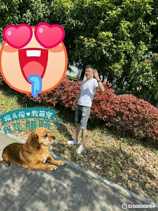 我若不坚强谁替我勇敢的第五张照片--安庆相亲服务中心