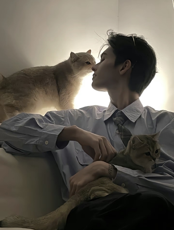 怪猫的第一张照片--安庆相亲服务中心
