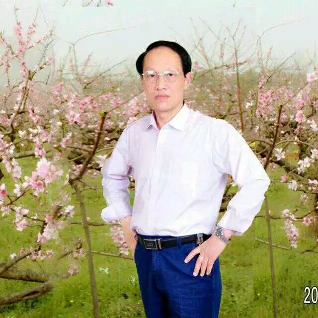 枫叶的第一张照片--安庆相亲服务中心